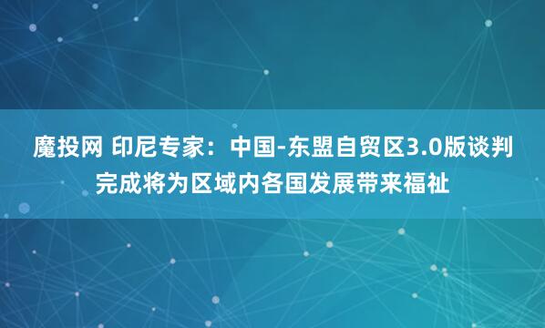 魔投网 印尼专家：中国-东盟自贸区3.0版谈判完成将为区域内各国发展带来福祉