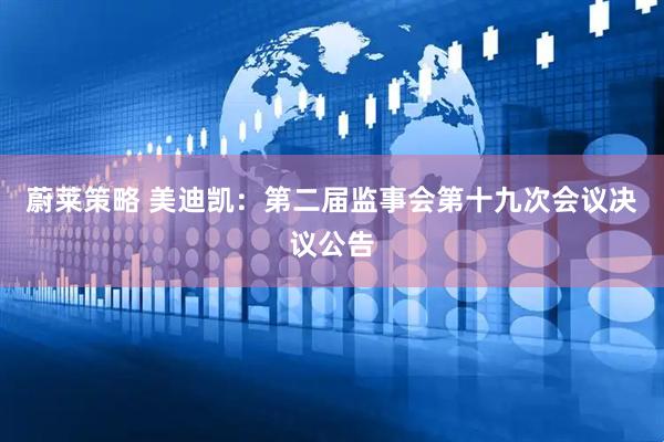 蔚莱策略 美迪凯：第二届监事会第十九次会议决议公告