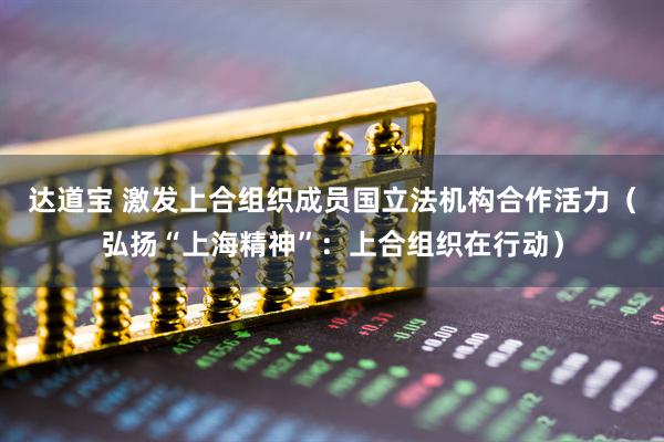 达道宝 激发上合组织成员国立法机构合作活力（弘扬“上海精神”：上合组织在行动）