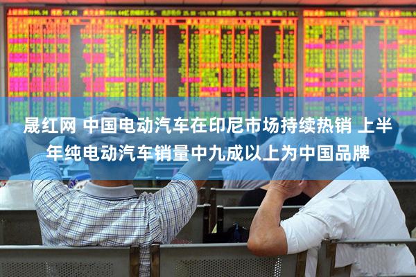 晟红网 中国电动汽车在印尼市场持续热销 上半年纯电动汽车销量中九成以上为中国品牌