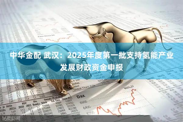 中华金配 武汉：2025年度第一批支持氢能产业发展财政资金申报